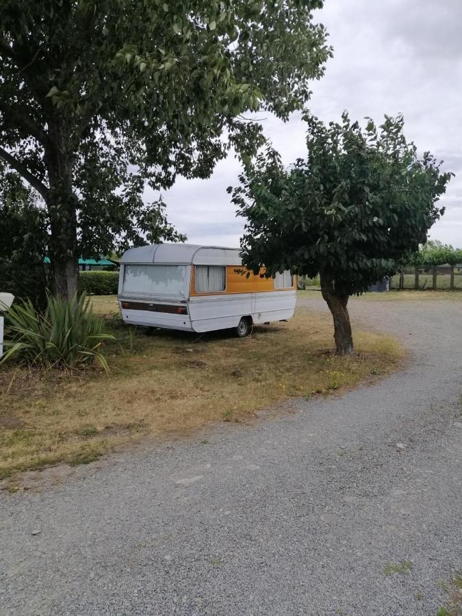 Rangiora Eco Holiday Park Fernside Exteriér fotografie